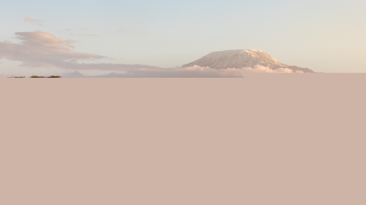 elephants-in-front-of-mount-kilimanjaro-at-amboseli-national-park-in-kenya-africa-AdobeStock_293161756 Dreamy landscapes in Amboseli National Park