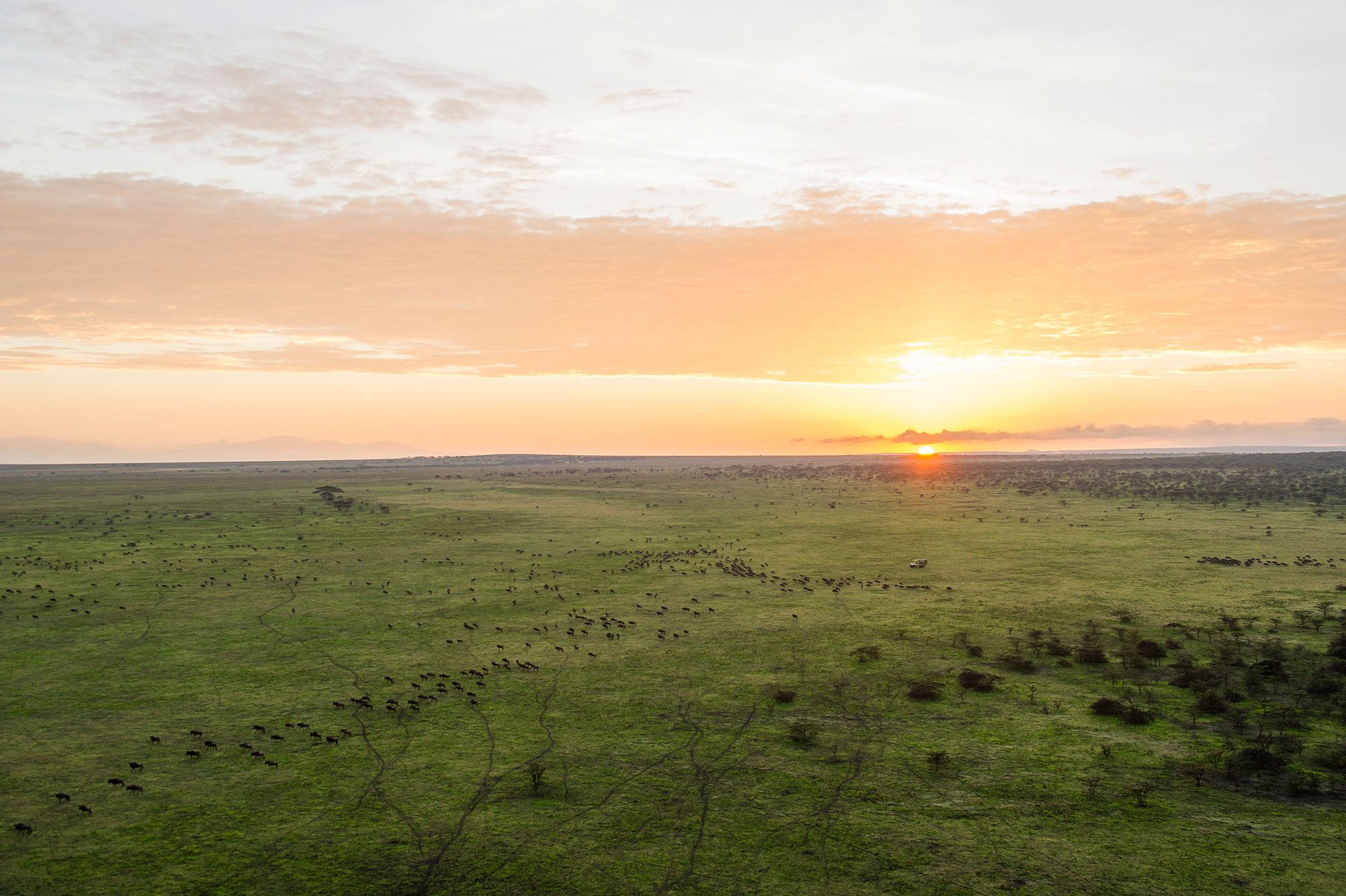 Safari-serengeti-mwiba-lodge The Serengeti at sunset